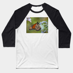 Migration Series IV Baseball T-Shirt